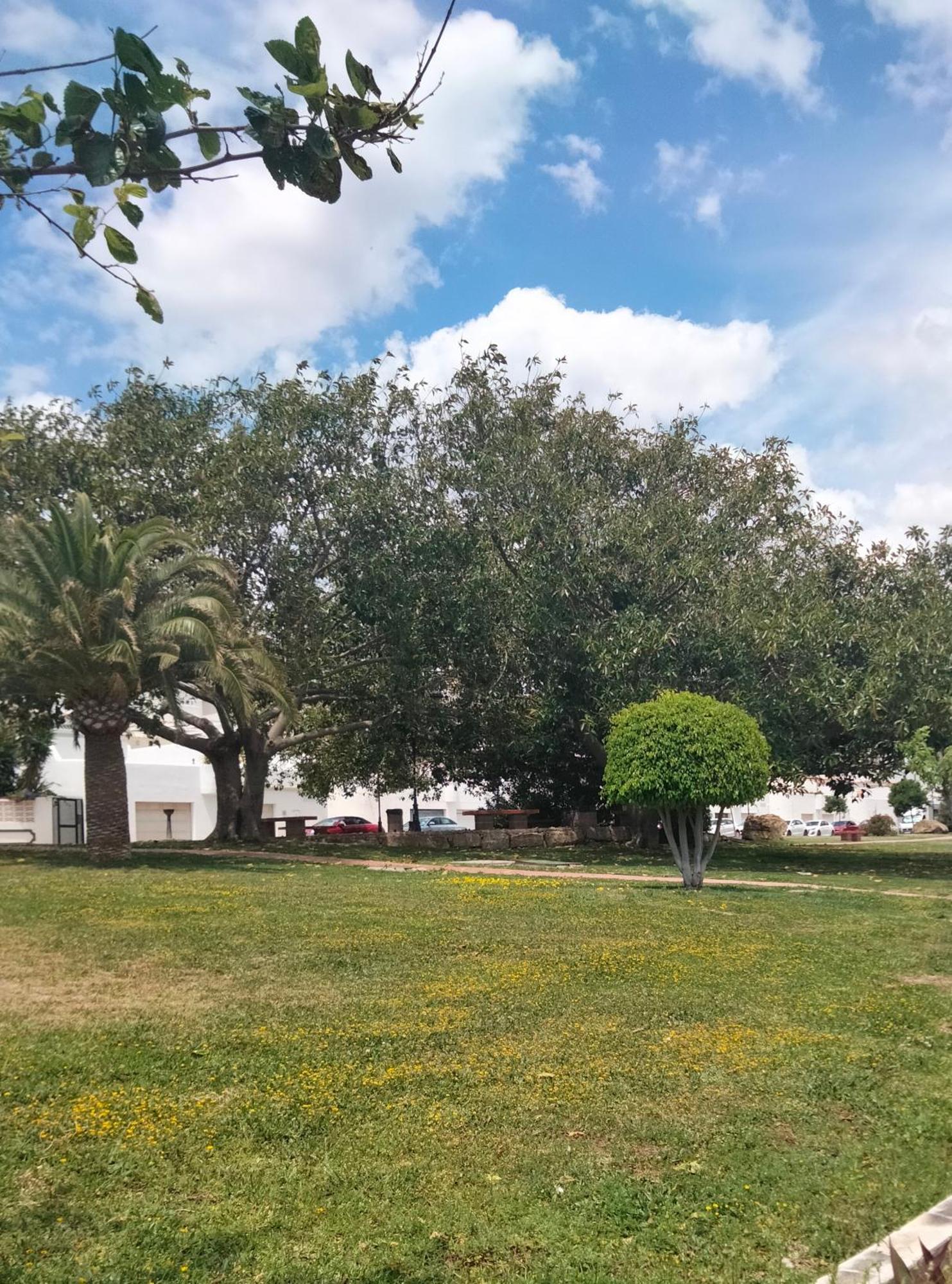 Apartamento Primera Linea De Playa مانيلفا المظهر الخارجي الصورة
