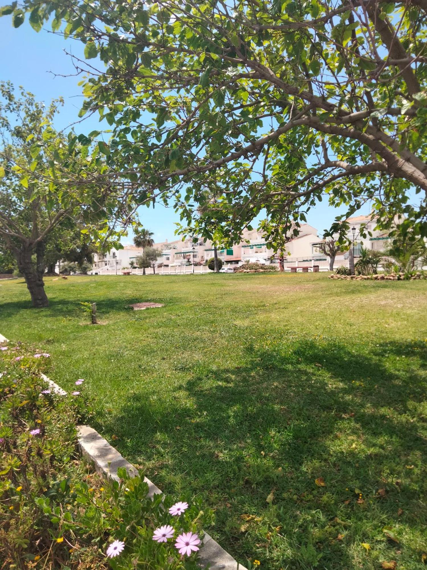 Apartamento Primera Linea De Playa مانيلفا المظهر الخارجي الصورة